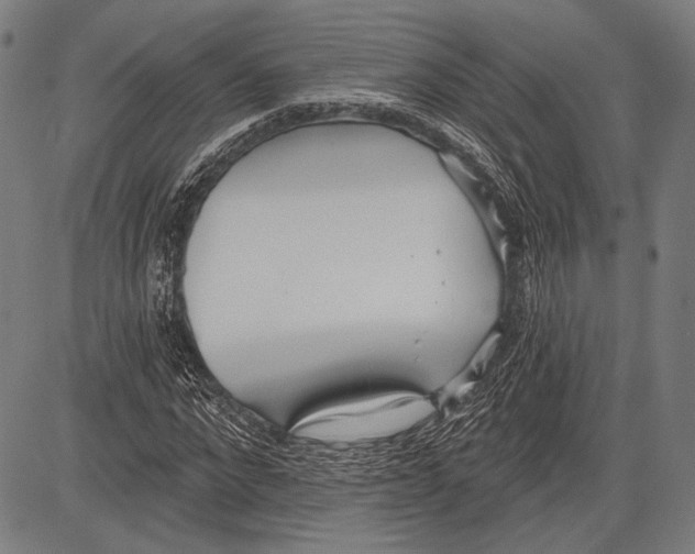 X0000081600872200702121547