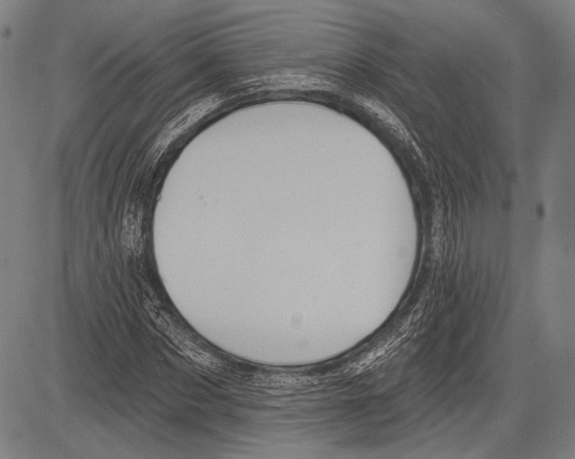 X0000081600873200702121547