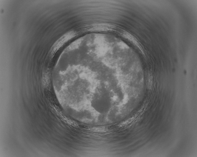 X0000081600874200702121547