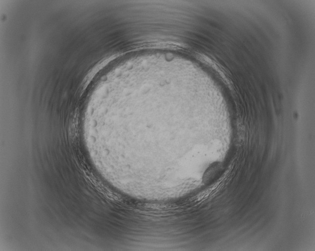 X0000081600875200702121547