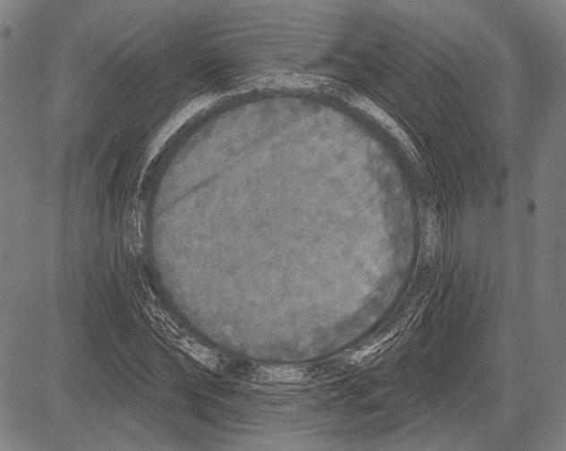 X0000081600878200702121547