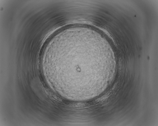 X0000081600879200702121547