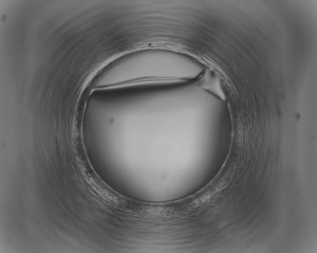 X0000081600880200702121547