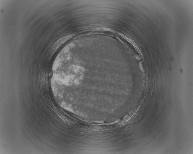 X0000081600881200702121546