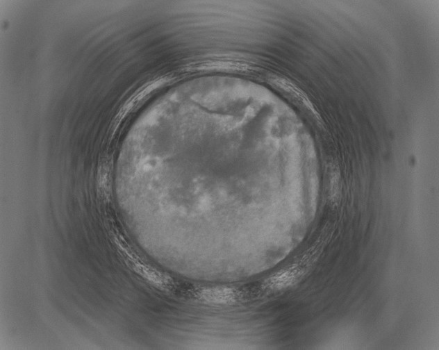 X0000081600882200702121546