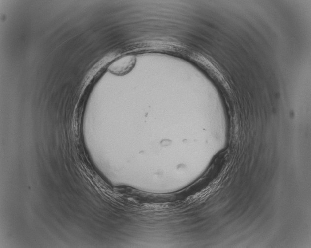 X0000081600883200702121546