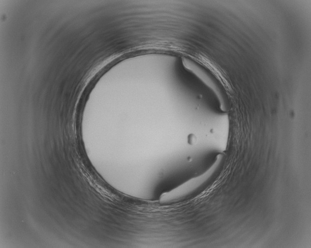 X0000081600884200702121546