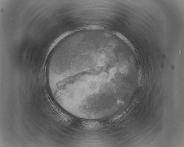 X0000081600886200702121546