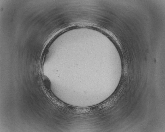 X0000081600887200702121546