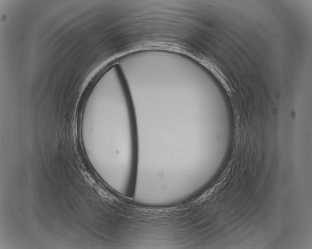 X0000081600888200702121546