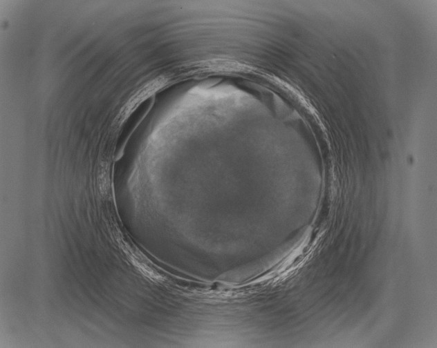 X0000081600889200702121546