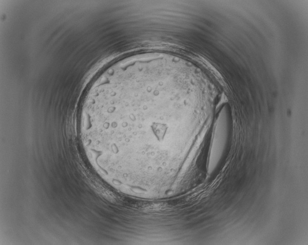 X0000081600891200702121546