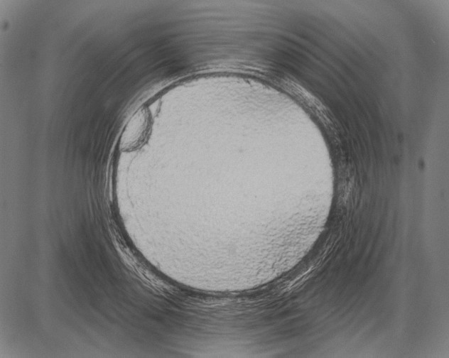 X0000081600892200702121546