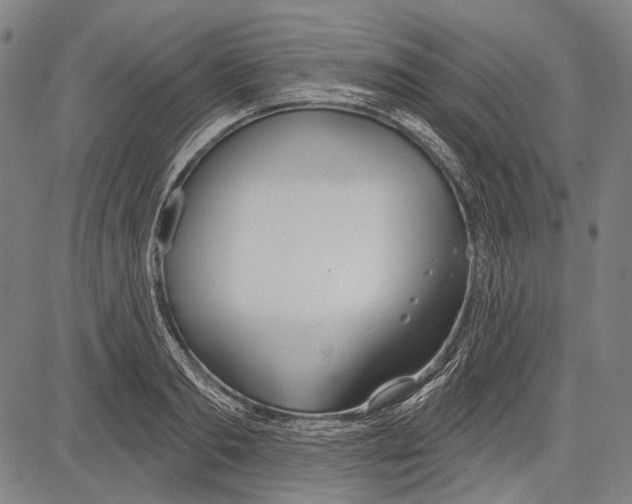 X0000081600893200702121546