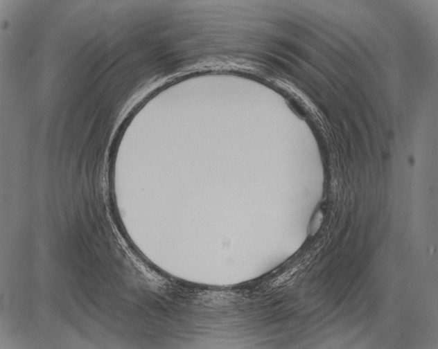 X0000081600894200702121546