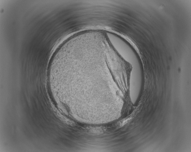 X0000081600895200702121546