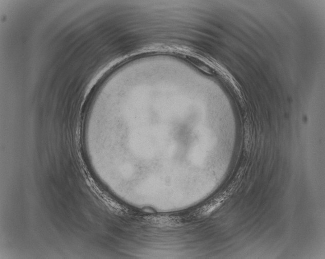 X0000081600896200702121546