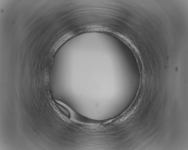 X0000081600897200702121546