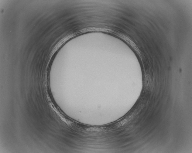 X0000081600898200702121546