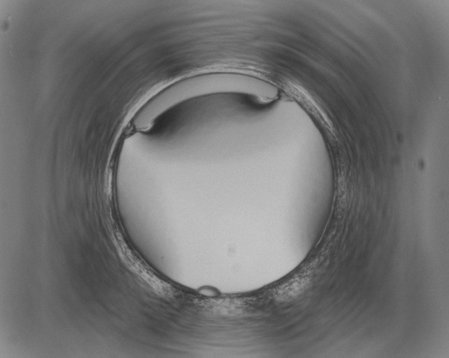 X0000081600900200702121546