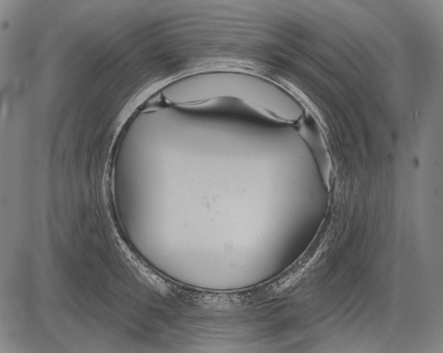 X0000081600901200702121546