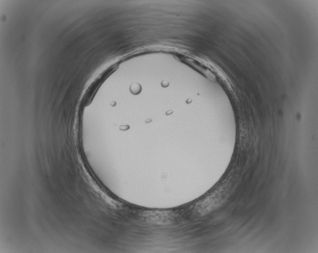 X0000081600902200702121546