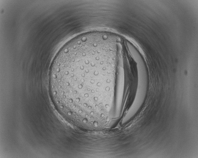 X0000081600903200702121546