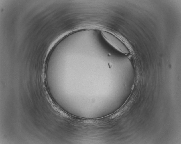 X0000081600904200702121546