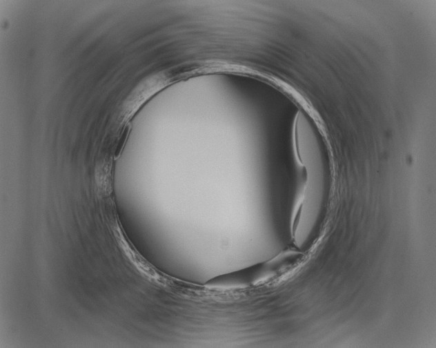 X0000081600905200702121546