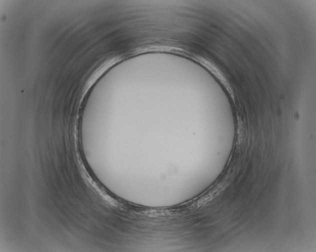 X0000081600906200702121546