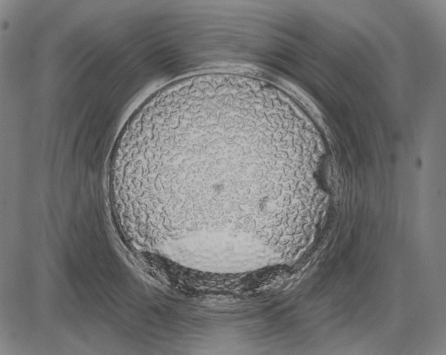 X0000081600907200702121546