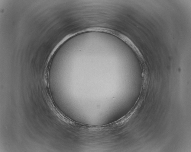 X0000081600908200702121546