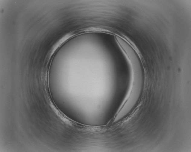 X0000081600909200702121546