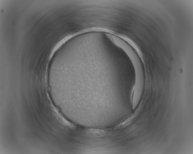 X0000081600910200702121546