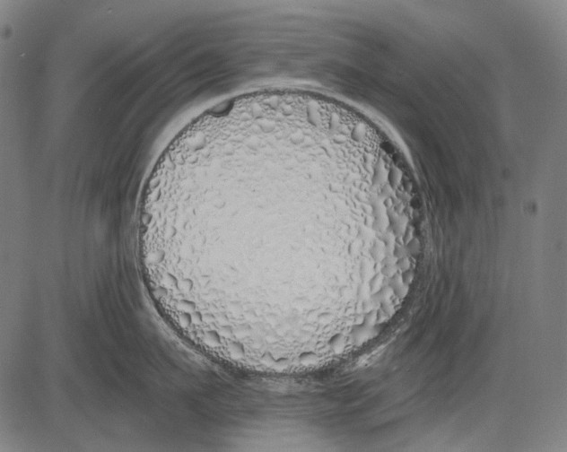 X0000081600911200702121546