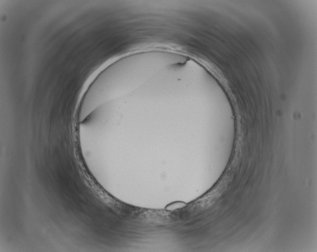 X0000081600912200702121546