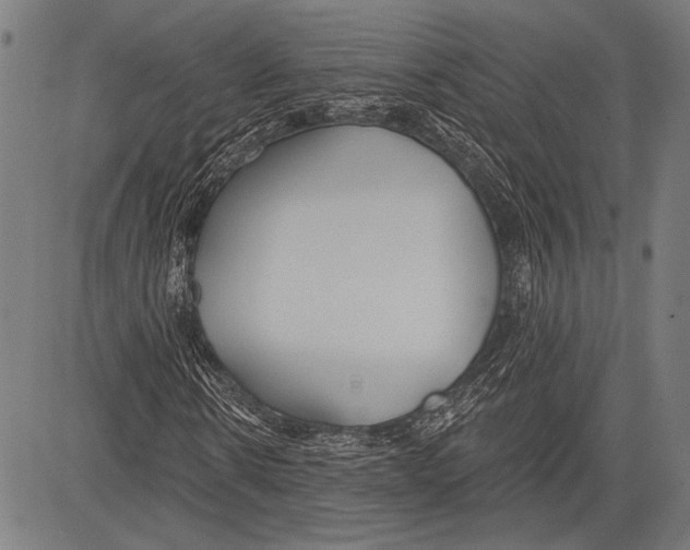 X0000081600914200702121545