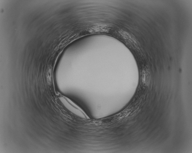 X0000081600915200702121545