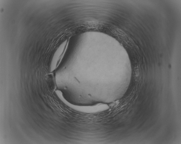 X0000081600916200702121545