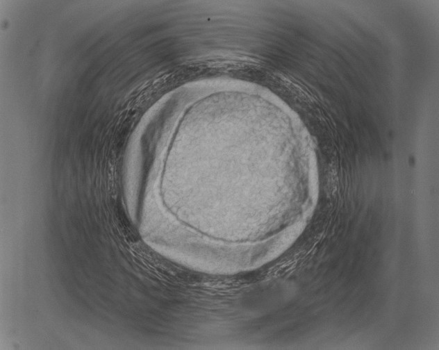 X0000081600917200702121545