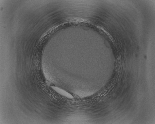 X0000081600919200702121545