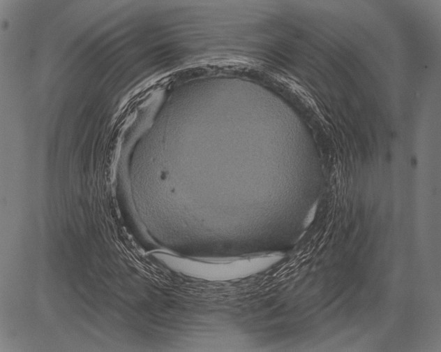 X0000081600920200702121545