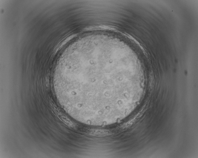 X0000081600921200702121545