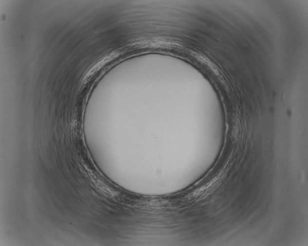 X0000081600922200702121545