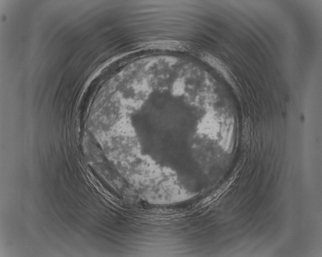 X0000081600923200702121545