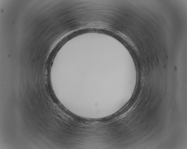 X0000081600926200702121545