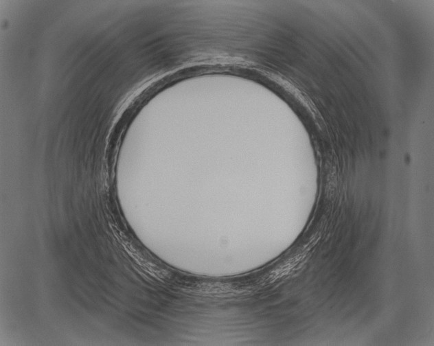 X0000081600927200702121545