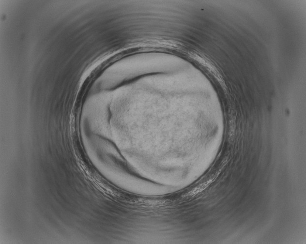 X0000081600928200702121545