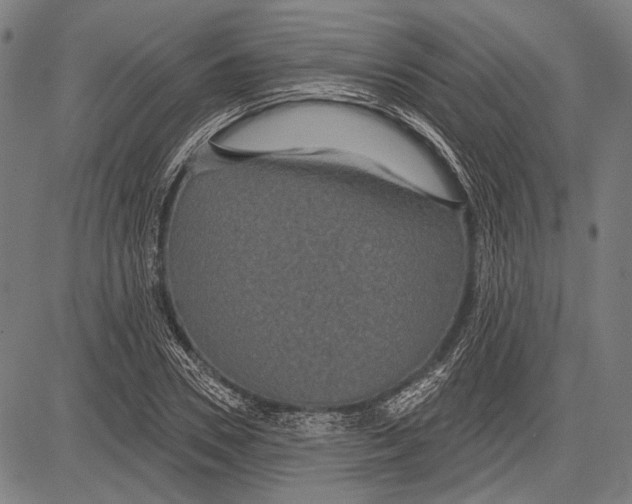 X0000081600930200702121545