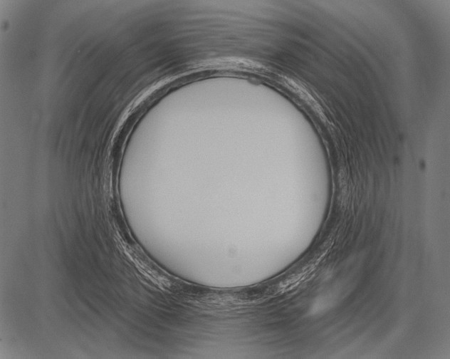 X0000081600931200702121546